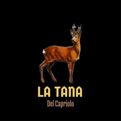 La Tana Del Capriolo Lägenhet Prati di Tivo Exteriör bild