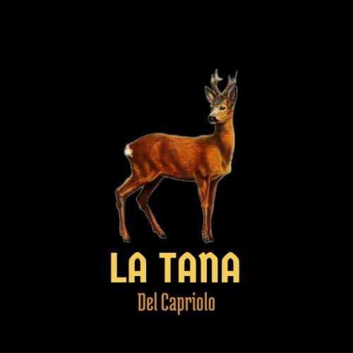 La Tana Del Capriolo Lägenhet Prati di Tivo Exteriör bild